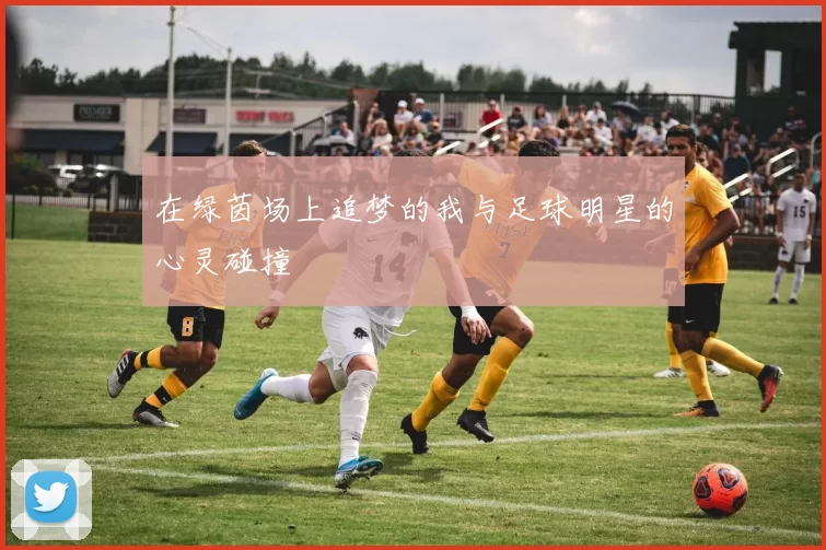 在绿茵场上追梦的我与足球明星的心灵碰撞