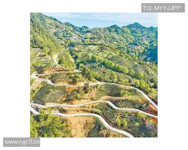 疫情防控常态化下的社会变革与民生挑战分析